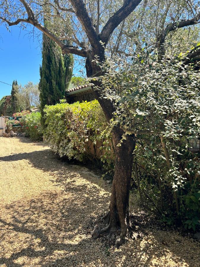 Villa De Charme En Campagne Avec Piscine Privee Et Nature Luxuriante Le Beausset Esterno foto