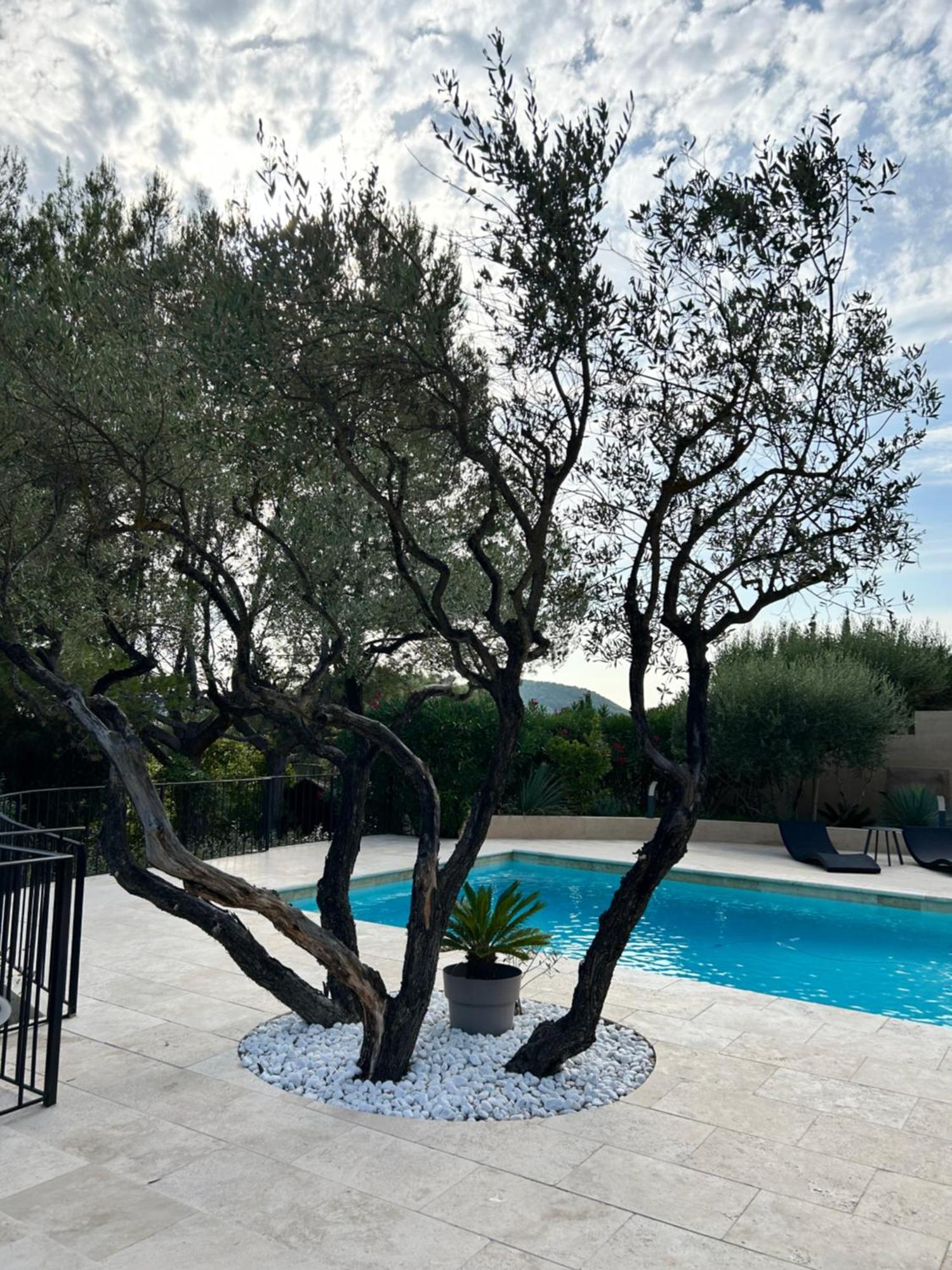 Villa De Charme En Campagne Avec Piscine Privee Et Nature Luxuriante Le Beausset Esterno foto